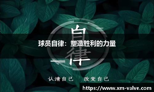 V体育